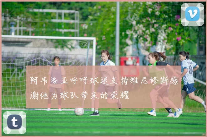 阿韦洛亚呼吁球迷支持维尼修斯感谢他为球队带来的荣耀